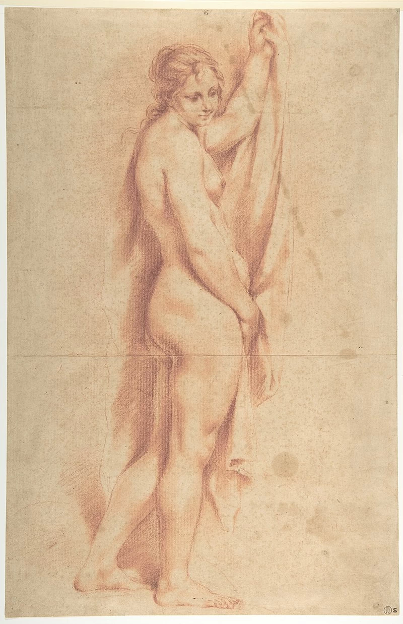 Disegno - Studio di donna nuda, Museum of Art